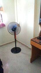 Blk 521 Hougang Avenue 6 (Hougang), HDB 4 Rooms #562243971